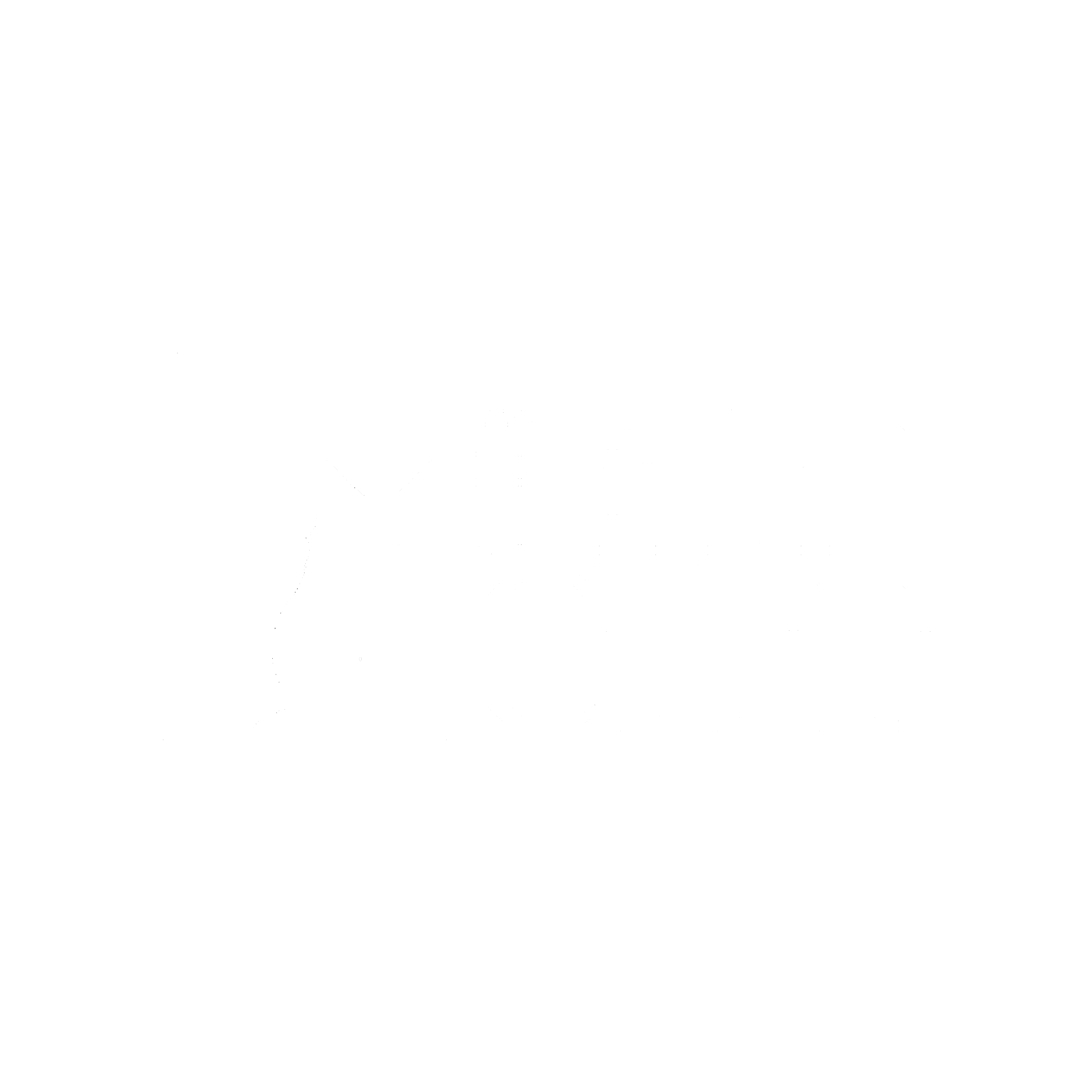 THE FAT CAT